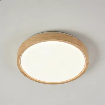 LED ceiling lamp for bright spaces