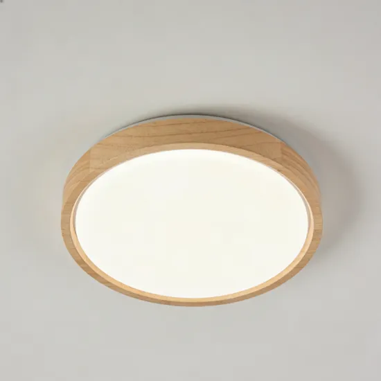 LED ceiling lamp for bright spaces
