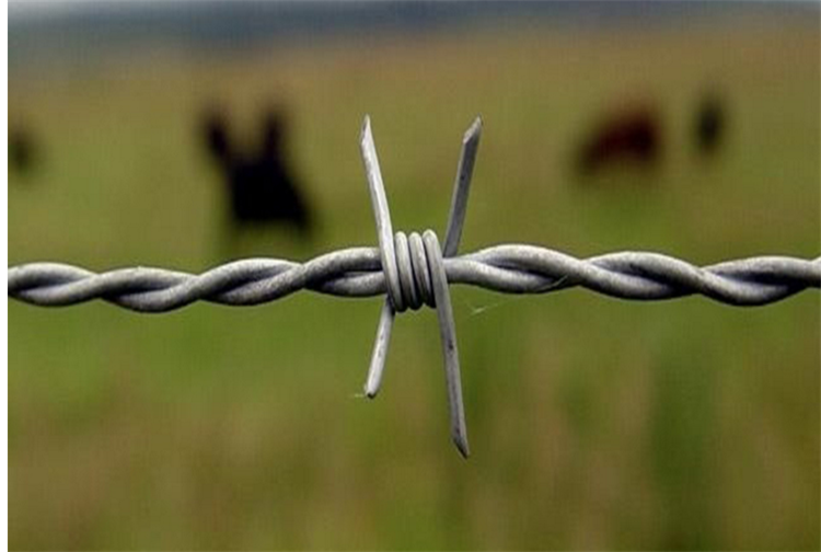 barbed wire