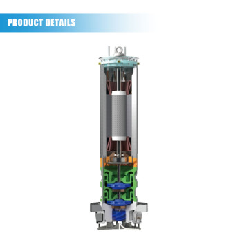Cryogenic Submersible Centrifugal Pumps for Large Ship Ports: In-Tank Transfer Solutions