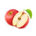 Apple Bark Extract Phloridzin Powder Skin Whitening Material