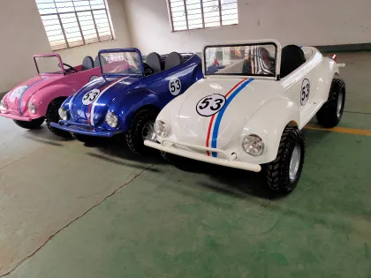 Hot Sale: Mini UTVs, Kids ATVs 150cc, and Mini Fusca