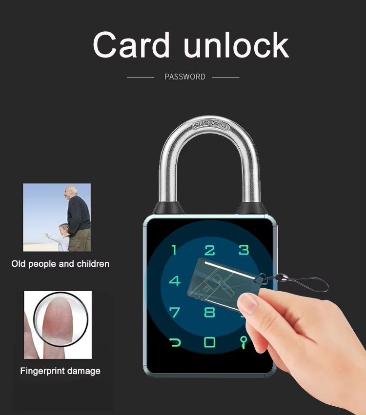 12 10 Card Padlock