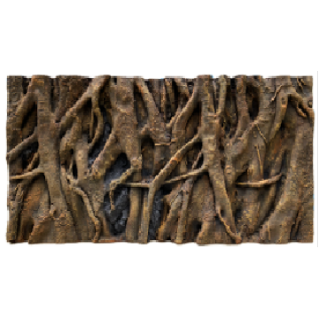 Placa de fundo do vento da floresta tropical