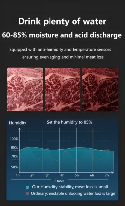 Stainless Steel Beef or Steak Dry Ager Refrigerator