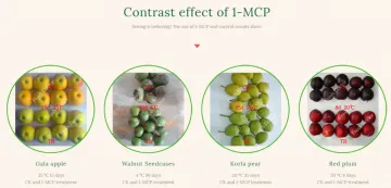 Ethylene Inhibitor - 1-MCP - 1- Methylcyclopropene