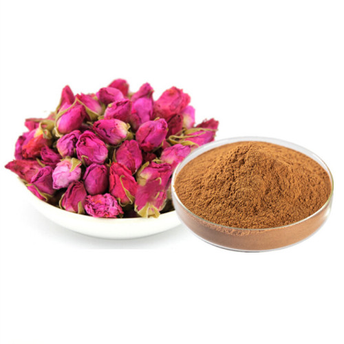 Rose Flower Extract Powder 10:1