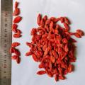 Top Quality Goji Berries