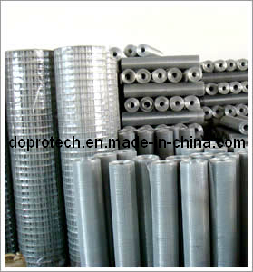 Galvanized Welded Wire Mesh Roll (DP-WMR)