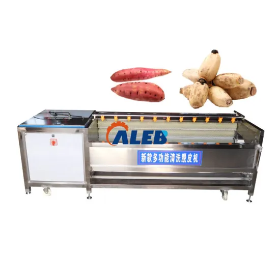 Stainless Steel Cleaning Machine for Ginger, Tomato, and Potato Wash