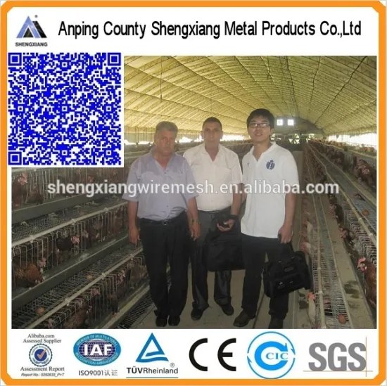 hot sales a type chicken cage for poultry farm20 years lifetime with Auto water system