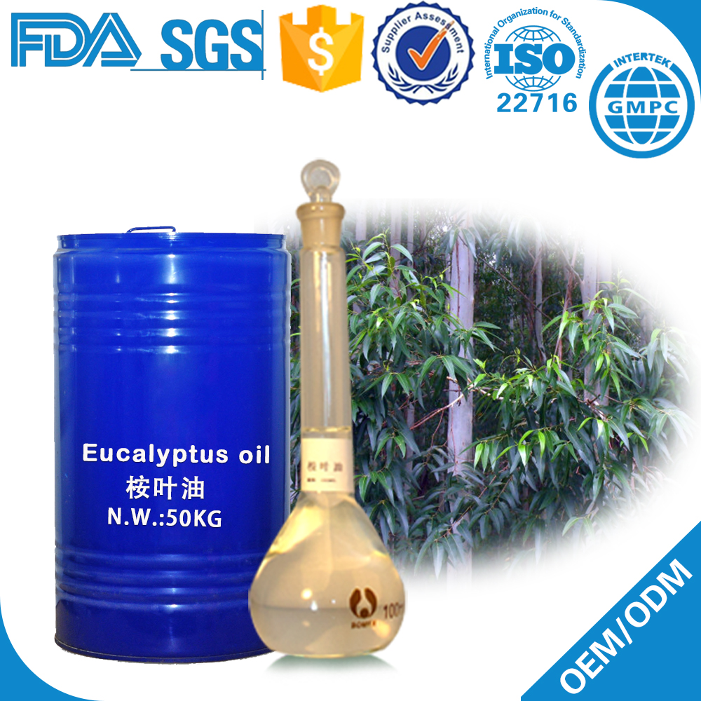 Eucalyptus Oil bulk High Quanlity And Lower Price