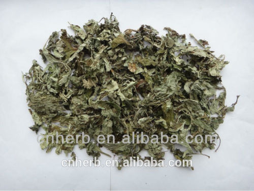 dried and natural argy wormwood herb cut