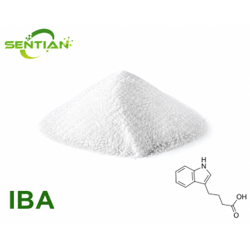 IBA Plant Growth Regulator for Rooting Applications