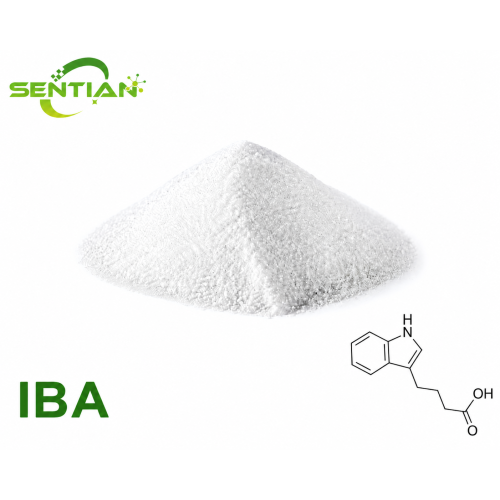 IBA Plant Growth Regulator for Rooting Applications