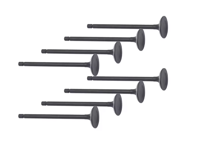 22212 03000 Exhaust Valve for Engine