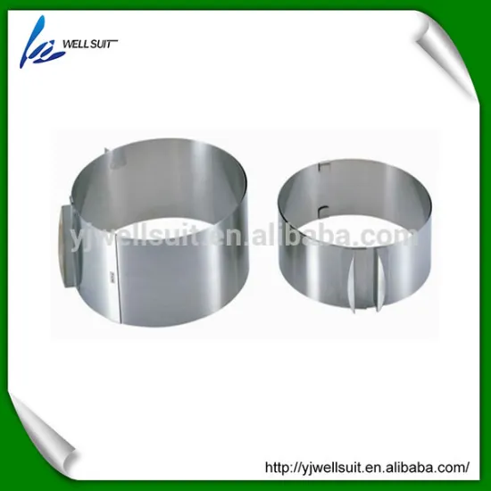 hot sale new design stainless steel custom-made cake mold