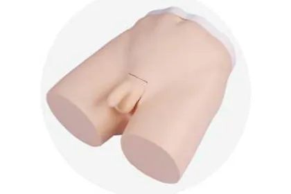 Vasectomy Surgical Practice Simulator