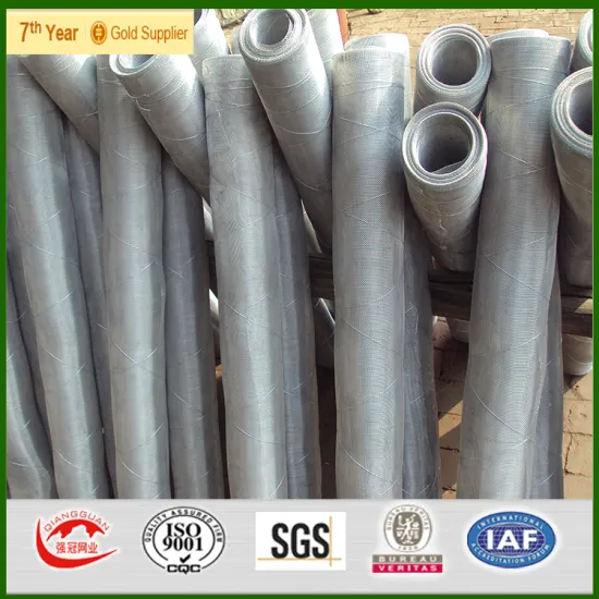 Security Insect Screen Mesh/ stainless steel security window screen mesh