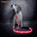 Glöd i mörkrosa Nylon Led Dog Leash