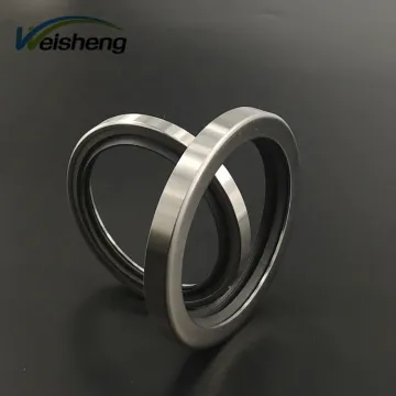 PTFE Double Lips Seals for Rotary Shaft and Oil Sealed Rotary Vacuum Pumps