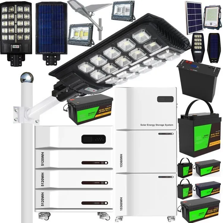 China Solar Manufacturer LED Sensor Street Light with Camera