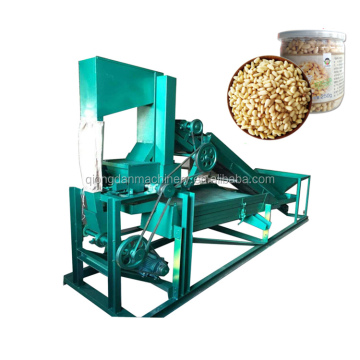 Pine Nut Processing Machinery: Sheller, Sorter, and Packing Machines