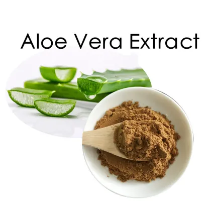 Natural Aloe Vera Extract Powder