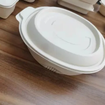 Biodegradable takeout lunch box, hotel disposable lunch box