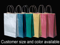 Twisted Handle Color Paper Shopping Bag