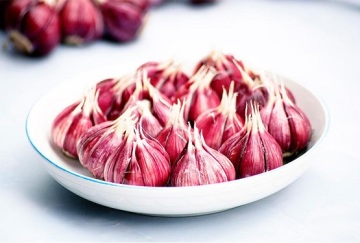 High Quality Purple Garlic