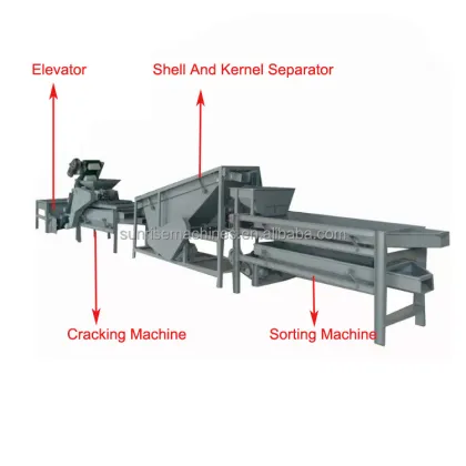 Hot Sale Automatic Nut Processing Plant Equipment: Breaking, Shelling & Cracking Machines for Hazelnuts, Pecans & Almonds