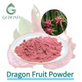 Высушенный распылением порошок драконьего фрукта Розовый порошок питайи