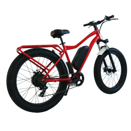 internal fully madmod electric bicycle