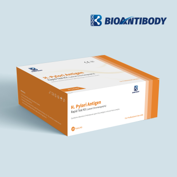 Kit de prueba rápida de antígeno H.Pylori (cromatografía lateral)