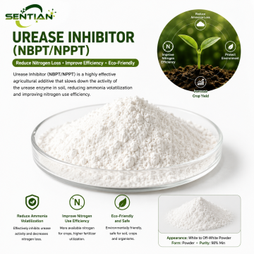 NBPT/NPPT Urease Inhibitor for Reduced Ammonia Loss