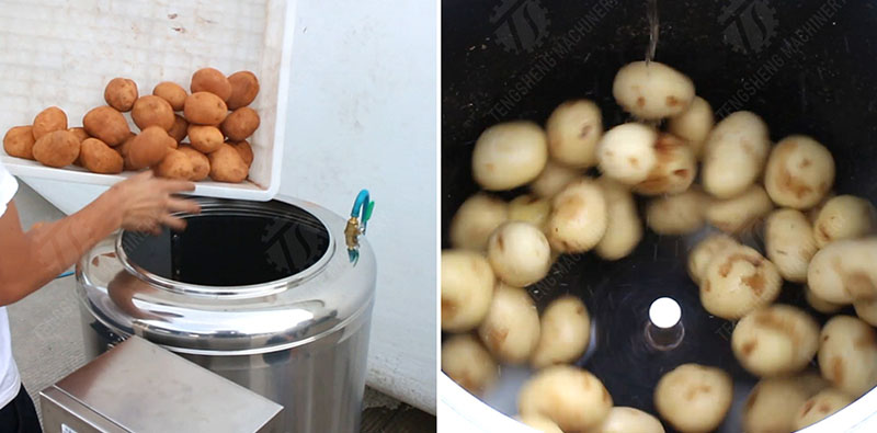 commercial potato washer
