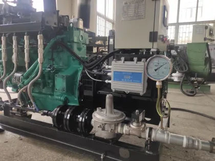 Industrial Hydrogen Generator For Clean Energy Production