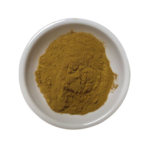 senna Leaf extract powder 10:1/folium sennae extract
