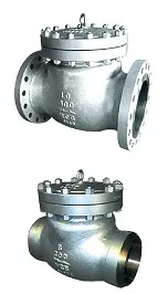Check Valves