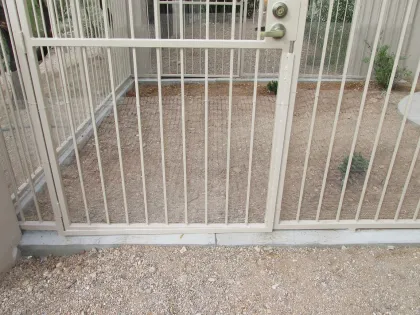 Large Outdoor Dog Kennel