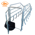 Sow Farrowing Crate Galvanized Babi Farrowing Peti