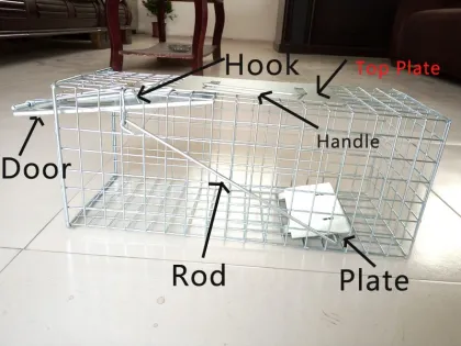 Ground Squirrel Trap Cage Squirrel Trapping Tools