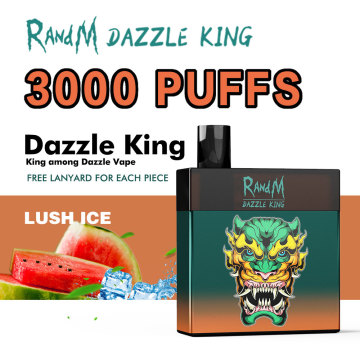 High Pro Max RandM King 3000 Puffs Pod Manufacturers