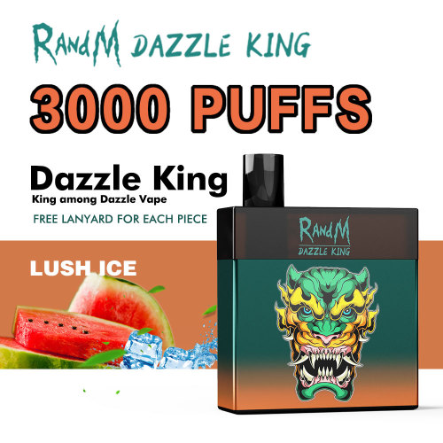 High Pro Max RandM King 3000 Puffs Pod Manufacturers