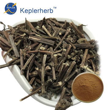 Mengotot ekstrak ramuan clerodendranthus