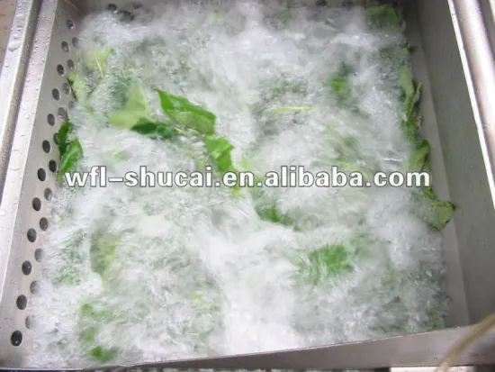 Small Type Leafy Vegetables Washing Machine(10-30 kg per batch )