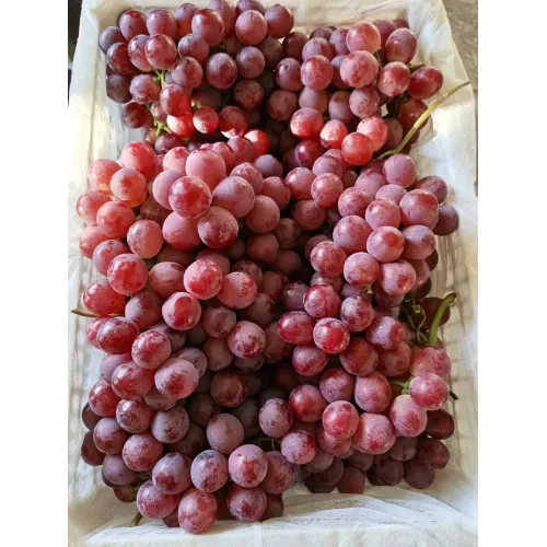Natural na Seedless Fresh Globe Red Grapes