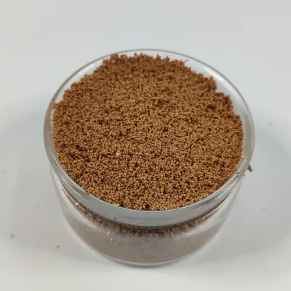 Polymeric Adsorbent Resin for Organics Removal