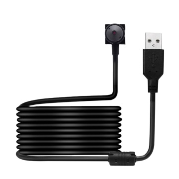 PEGATAH CWD2MP 1080p Plug & Play USB Webcam with Microphone for Laptop and Desktop